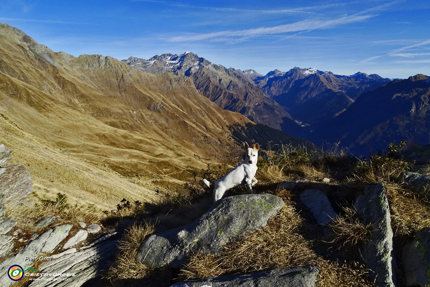 39 Stelina in posizione panoramica verso i Giganti Orobici.JPG -                                